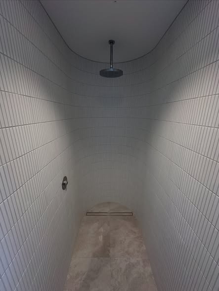 Curved barrel-vault feature shower with vertical mosaic